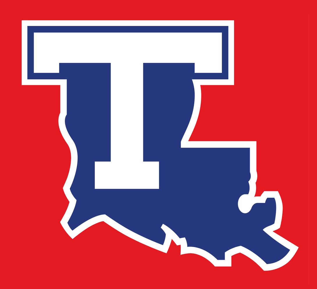 Louisiana Tech Bulldogs 2008-Pres Alternate Logo v2 diy fabric transfer